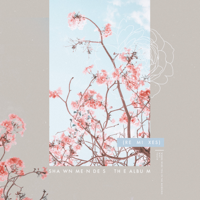 Shawn Mendes - The Album (Remixes) - Single artwork