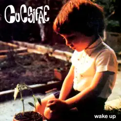 Wake Up - Cucsifae