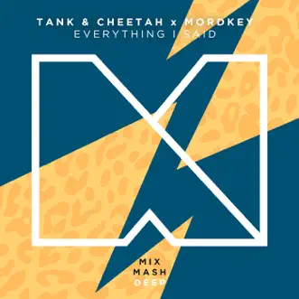 Everything I Said (Radio Edit) by Tank & Cheetah & Mordkey song reviws