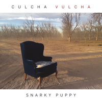Snarky Puppy - Culcha Vulcha artwork