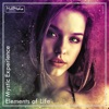 Elements of Life - EP, 2018