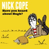 Nick Cope - Have You Heard About Hugh ?