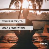 Various Artists - Yoga & Meditation artwork