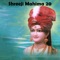 Zulo Zulo Harivar Hindole - Shree Swaminarayan Mandir Kalupur lyrics