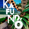 Kafundó, Vol. 6: Afrobeat Brazil