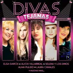 Divas Tejanas by Various Artists album reviews, ratings, credits