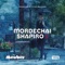 Mi Adir (feat. Yitzy Waldner) - Mordechai Shapiro lyrics