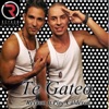 Te Gateo (feat. Pipe Calderon) - Single