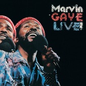 Marvin Gaye - Distant Lover (Live At Oakland Coliseum, CA/1974)