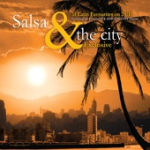 Salsa & The City artwork
