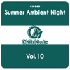 Summer Ambient Night, Vol. 10, 2018