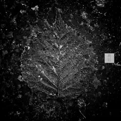 Black Leaf - Single - Vert Black Leaf - Single - Vert