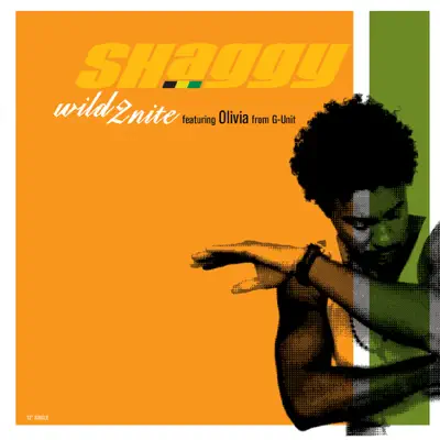 Wild 2nite - EP - Shaggy