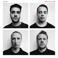 Goose - Call Me