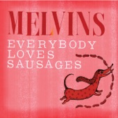 Melvins - Best Friend