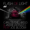 Flash of Light (feat. Joe Bloom) - Single album lyrics, reviews, download