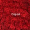 Cupid (feat. Mishael) - Larry Thomas Jr. lyrics