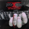 PoorXcuse - Miss You Babe