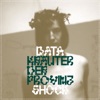 Datashock - Hullu Gullu, wir liefern Shizz