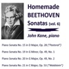 Homemade Beethoven Sonatas, Vol. 6