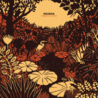 Maisha - There Is a Place artwork