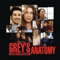 Greys anatomy songs - Die preiswertesten Greys anatomy songs im Überblick