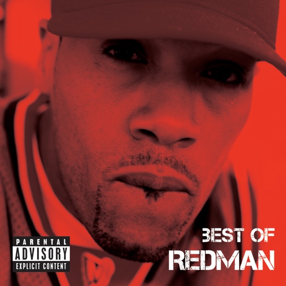 Cover artwork for Da Rockwilder