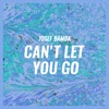 Can't Let You Go - Single