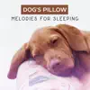 Dog's Pillow: Melodies for Sleeping - Soft Music & Nature Sounds, Animals Therapy, Gentle Lullabies for Your Pets, Peaceful & Calm album lyrics, reviews, download