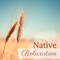 Meditation Wave - Shakti Deva Kaur & Native American Indian Meditation lyrics