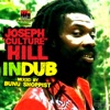 Joseph “Culture” Hill in Dub (Mixed by Bunu Shoppist)