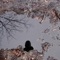 Fight in the Shade - Arthurian Torso lyrics