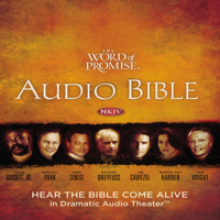 Thomas Nelson - The Word of Promise Audio Bible - New King James Version, NKJV: Complete Bible artwork