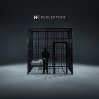 NF - Perception artwork