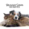 Relaxing Songs for Your Pets: Calm Music for Dogs & Cats, Anxiety and Stress Relief, Pet Therapy, Sleep Sounds album lyrics, reviews, download