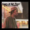 Shaq in the Post (feat. Lowkey) - Single album lyrics, reviews, download