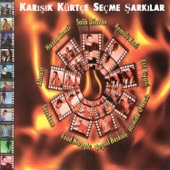 Karışık Kürtçe Seçme Şarkılar artwork