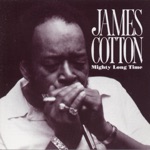 James Cotton - Mighty Long Time