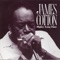 Three Hundred Pounds of Joy - James Cotton lyrics