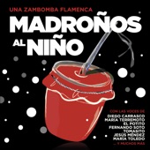 Madroños Al Niño - Una Zambomba Flamenca artwork