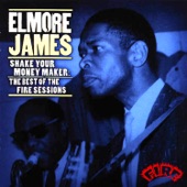 Elmore James - I'm Worried