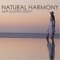 Natural Harmony - Soothing Motion lyrics