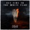 Set Fire to the White Flag (feat. Dustin Smith) - Here Be Lions lyrics