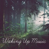 Waking Up Music artwork