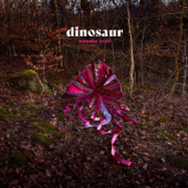 Wonder Trail - Dinosaur