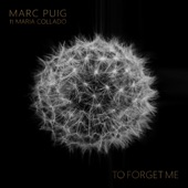 To Forget Me (feat. Maria Collado) artwork