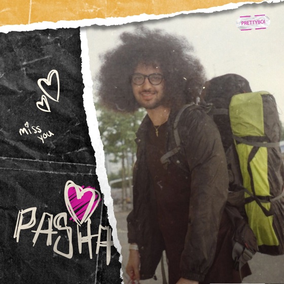 Cover artwork for Love Pasha