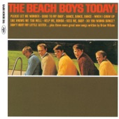 The Beach Boys - She Knows Me Too Well (Mono)