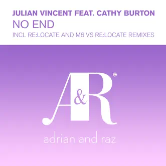 No End (feat. Cathy Burton) [M6 Vs. Re: Locate Instrumental] by Julian Vincent song reviws