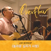 성령의 단비 (Live) artwork